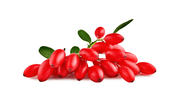 Rebersa ® (Berberine-extract)