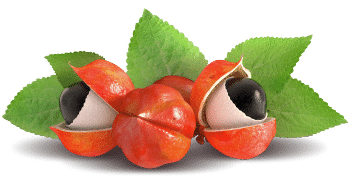 Guarana-extract